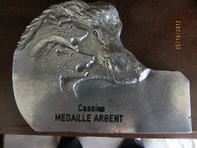 Des Etoiles D'island - CASSIUS  Médaille  d' ARGENT Travail 2011