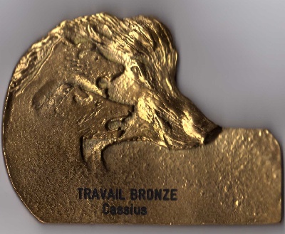 Des Etoiles D'island - CASSIUS  Médaille de BRONZE Travail 2010